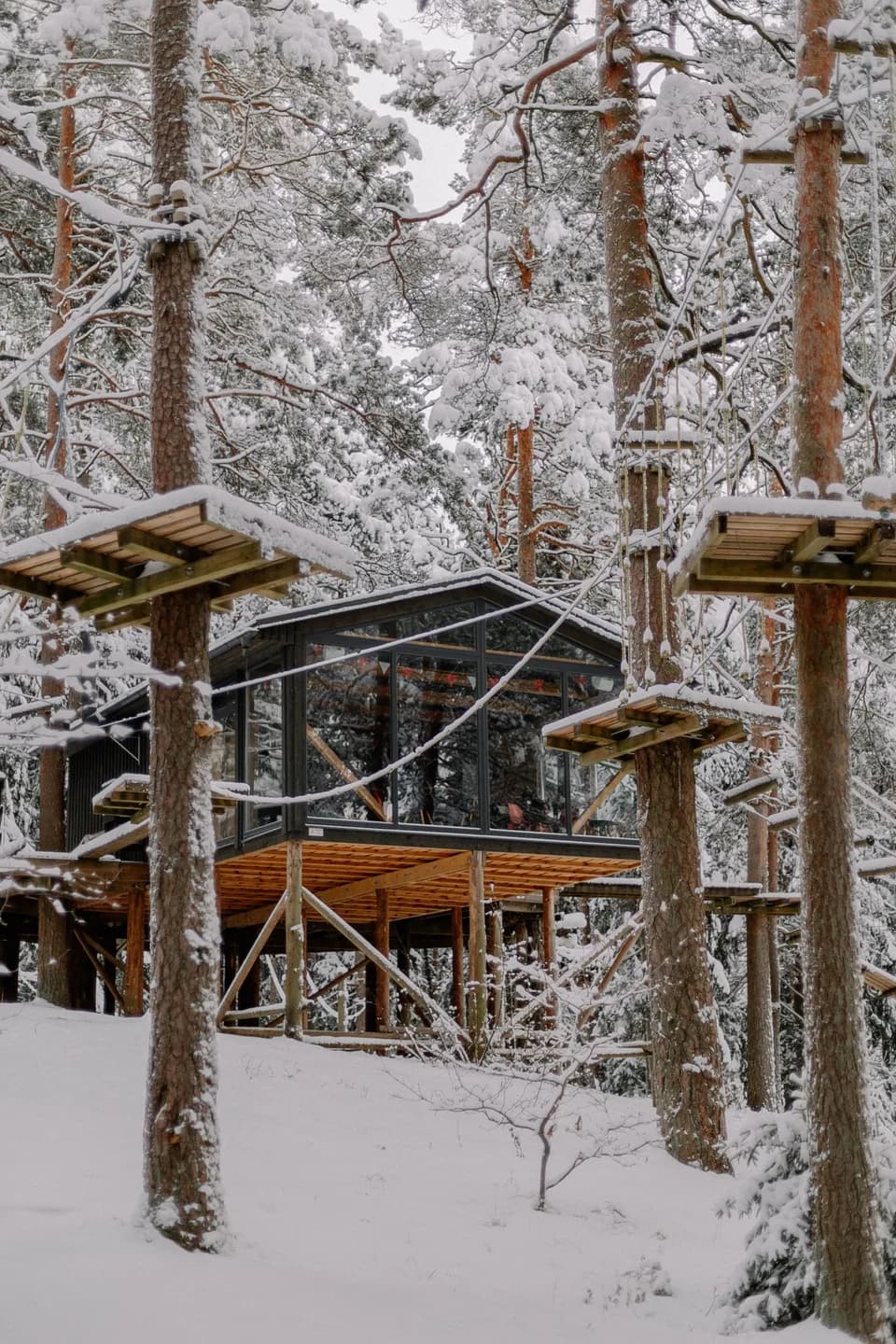 Imagen de ejemplo de BookNoFees: cabaña en un árbol acristalada en un bosque nevado