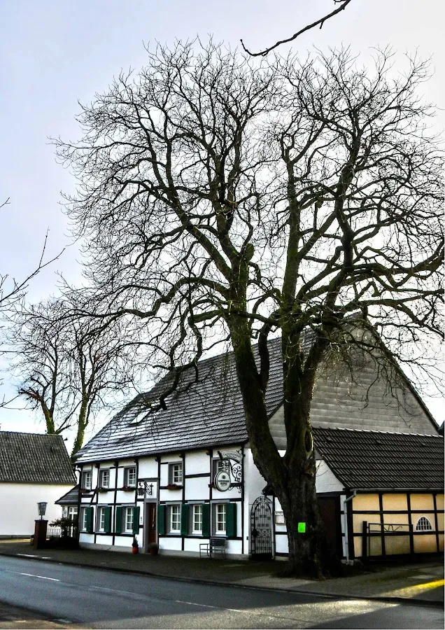 BookNoFees: Restaurante – Gaststätte Ziegler – Lippetal – Restaurante Ziegler, foto 1