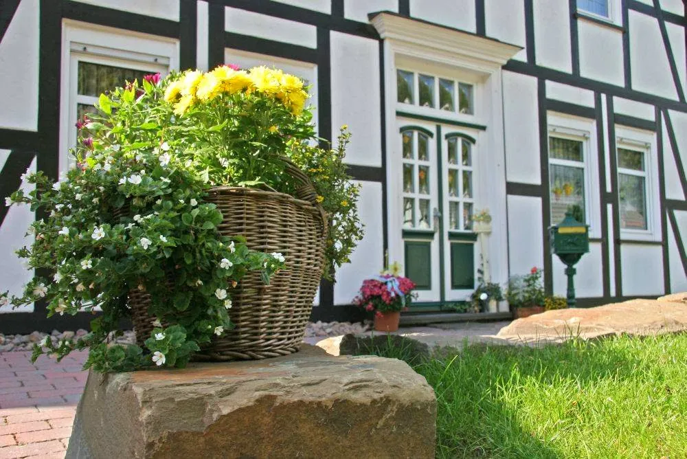 BookNoFees: Restaurante – Baumhoff Jürgen Café Pension – Olpe – Baumhoff Jürgen, Café y Posada, foto 1