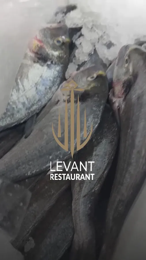 BookNoFees: Restaurante – Levant – Bratislava – Levante, foto 3