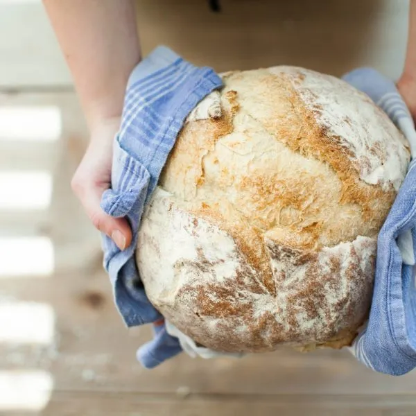 BookNoFees: Panadería – Insieme al pane – Rome – Junto con el pan, foto 3