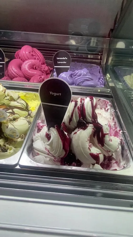 BookNoFees: Heladería – Andersen Ice Cream – Bratislava – Helados Andersen, foto 3