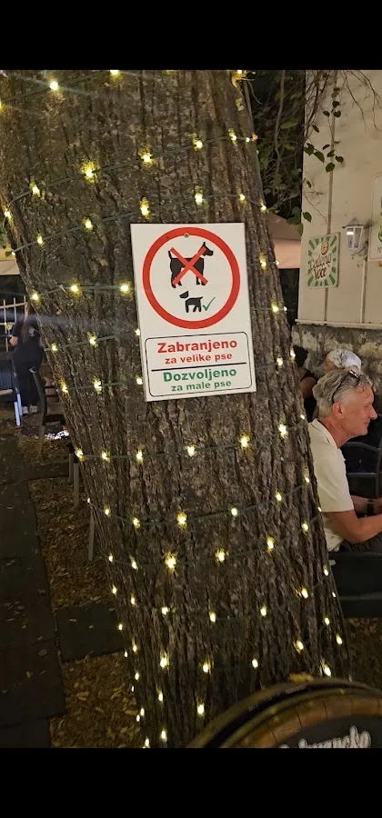 BookNoFees: Cafetería – Caffe Galerija Priča – Belgrade – Caffe Galerija Priča, foto 2