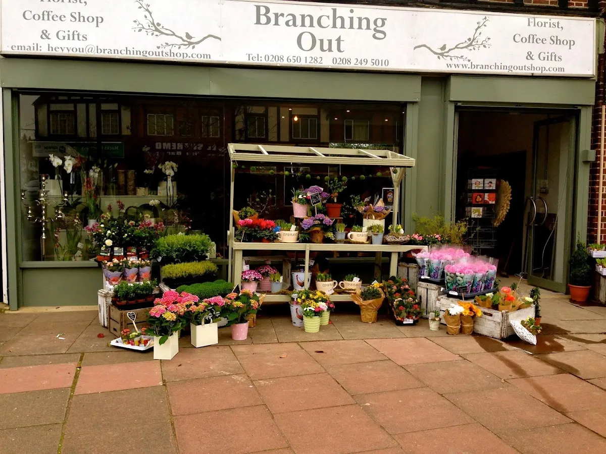 BookNoFees: Cafetería – Branching Out – London – Ampliando horizontes, foto 1