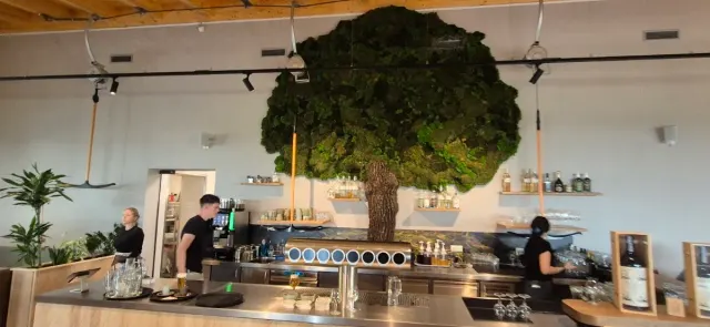 BookNoFees: Restaurante – Liftschänke – Hilchenbach – Liftschänke, foto 2