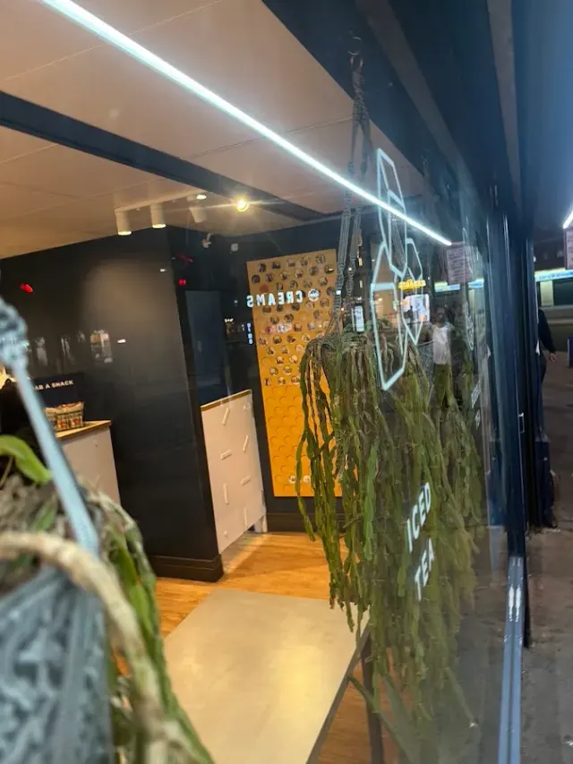 BookNoFees: Cafetería – Cupp Bubble Tea – London – Cupp Bubble Tea, foto 2