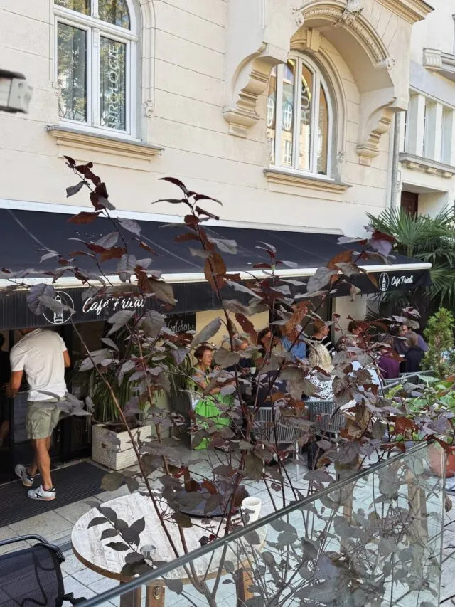 BookNoFees: Cafetería – Café Friedl – Vienna – Café Friedl, foto 3